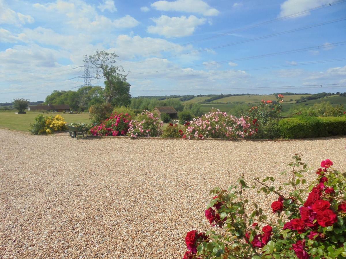 Rose Cottage Rye Exteriér fotografie